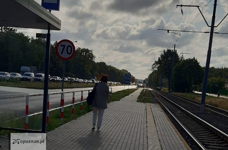 fot. Michał