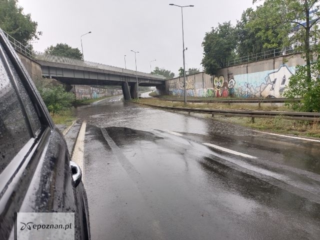 Lutycka pod Dąbrowskiego | fot. Czytelnik