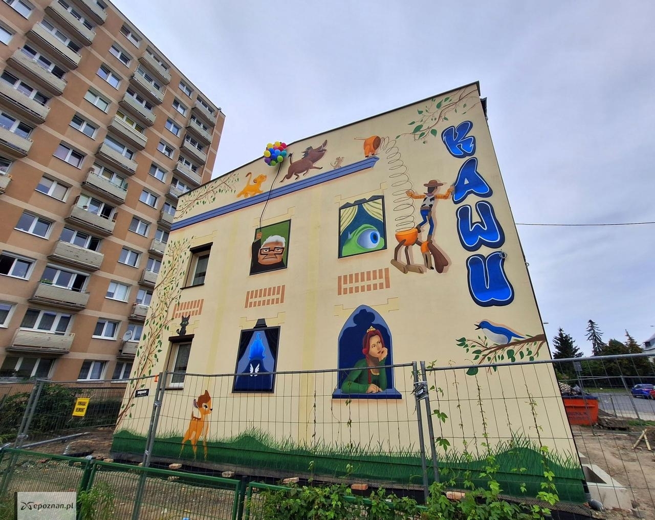 fot. Tomasz