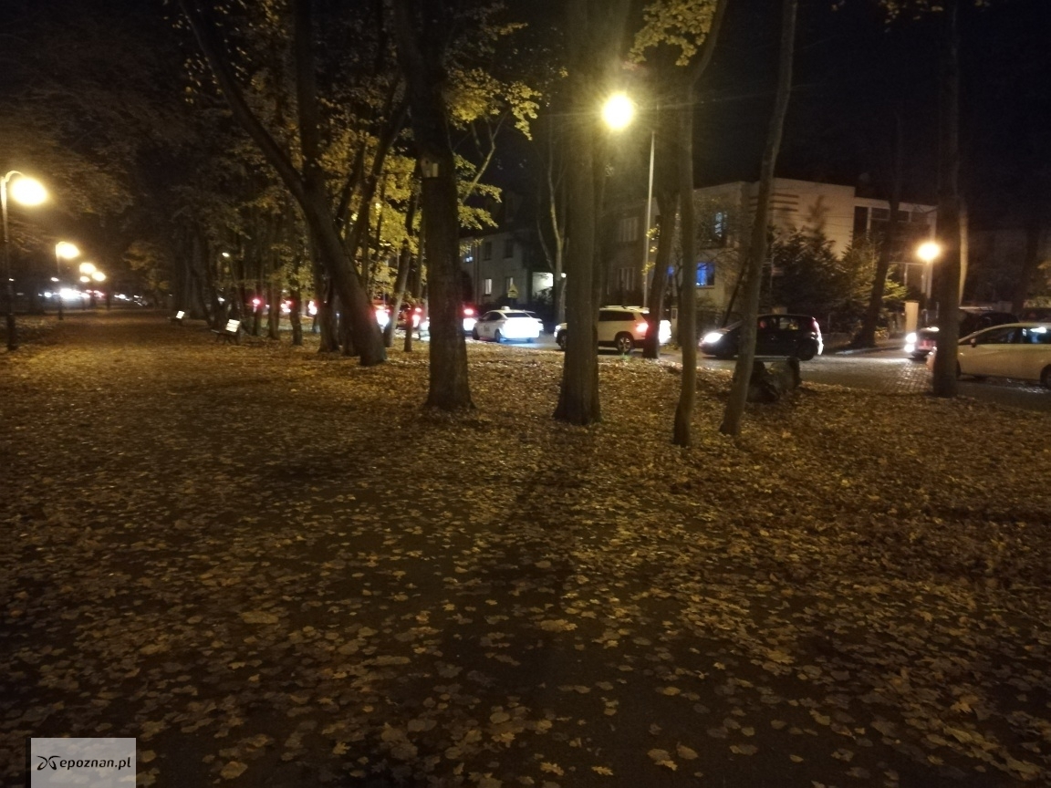 fot. Czytelnik