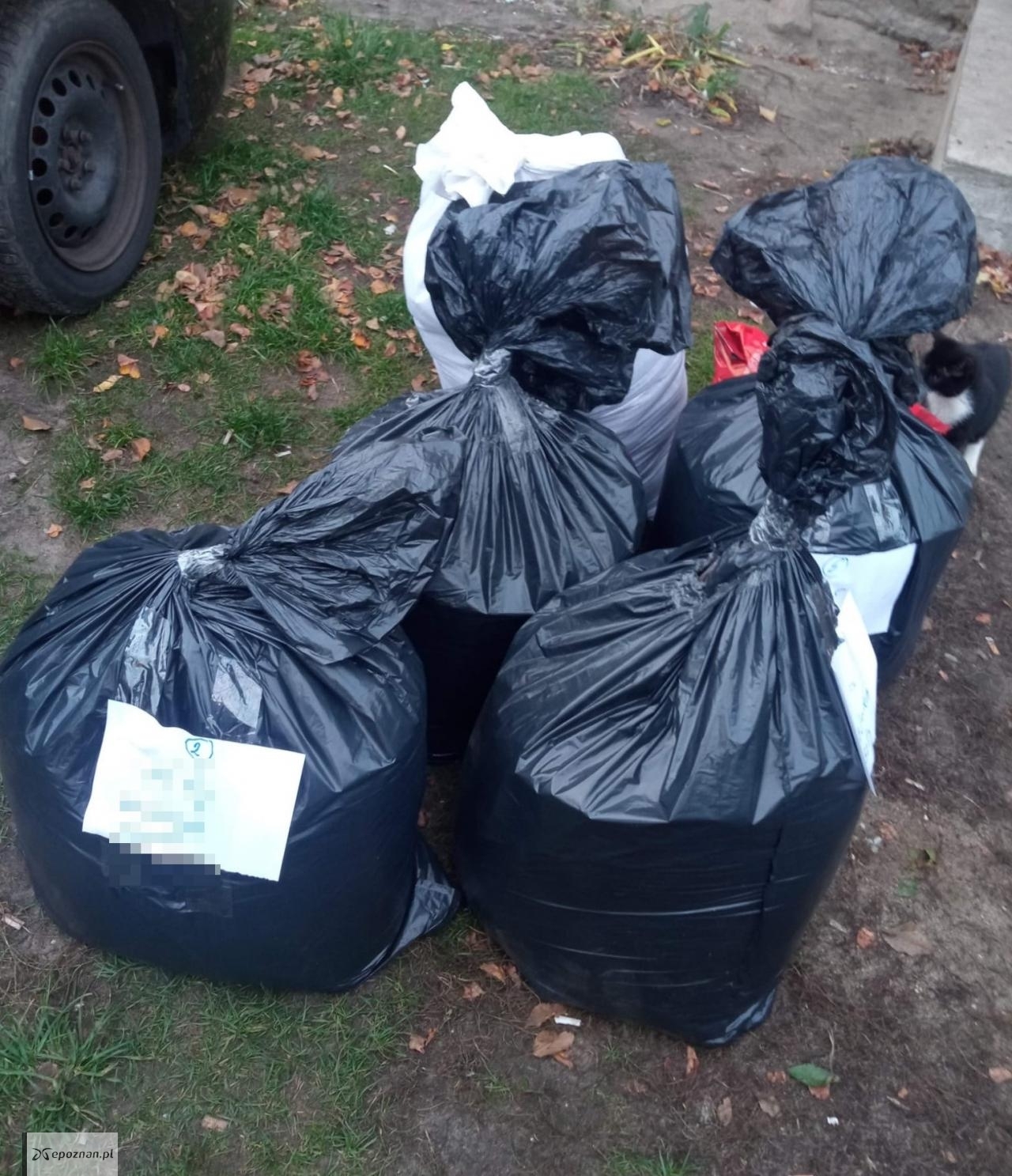 fot. Nadodrzański Oddział Straży Granicznej