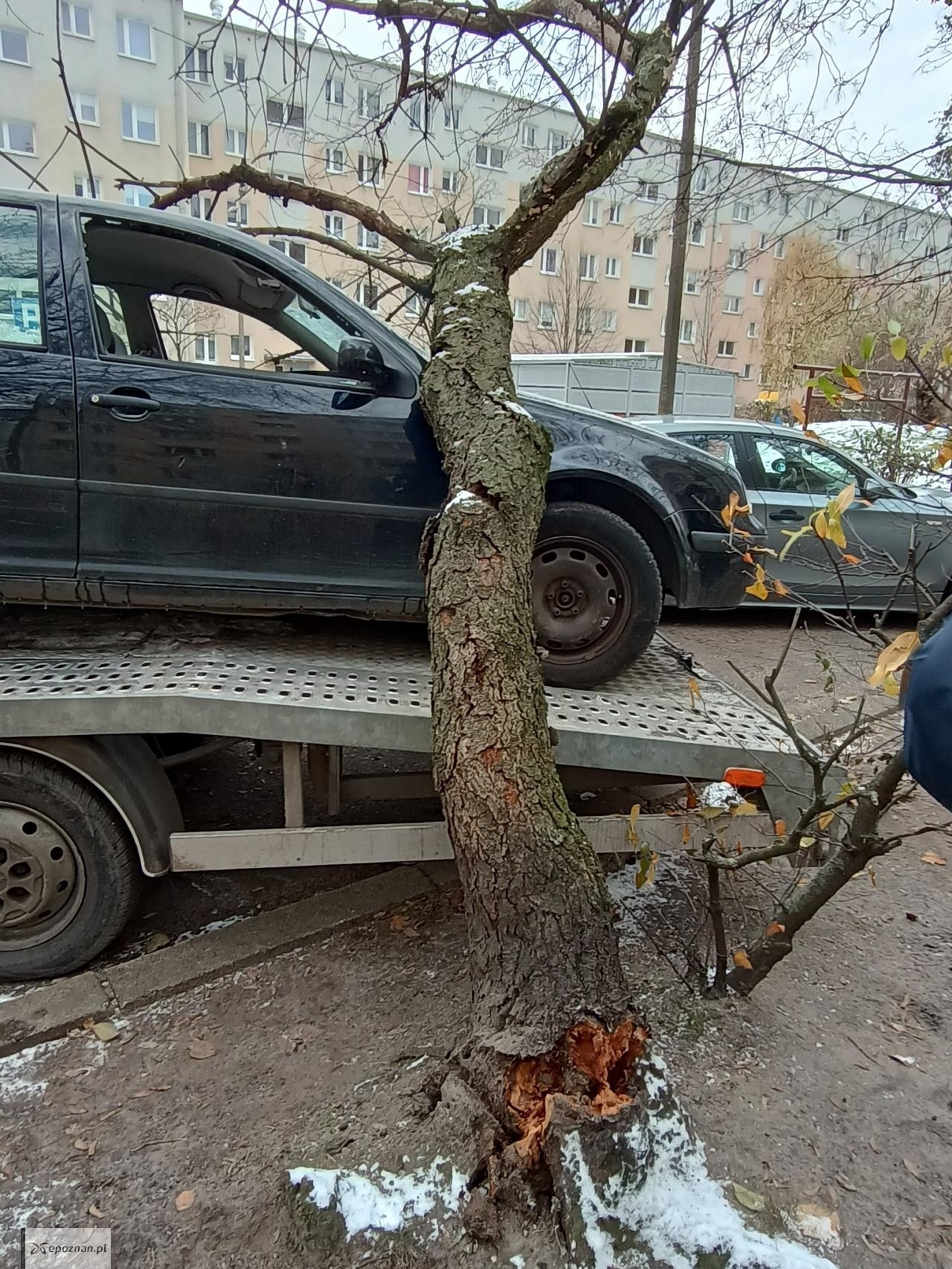 fot. SM