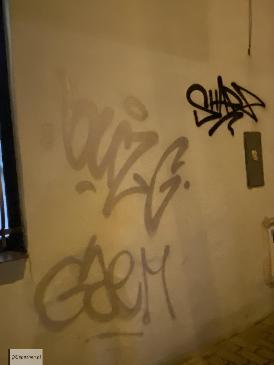 fot. Czytelniczka