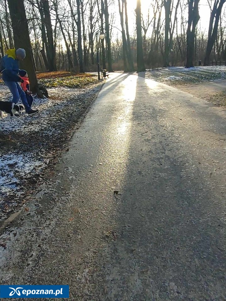 Park Sołacki | fot. Maciej