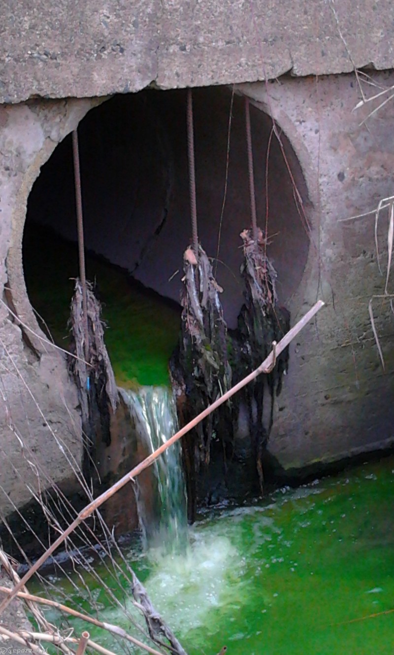 fot. czytelnik