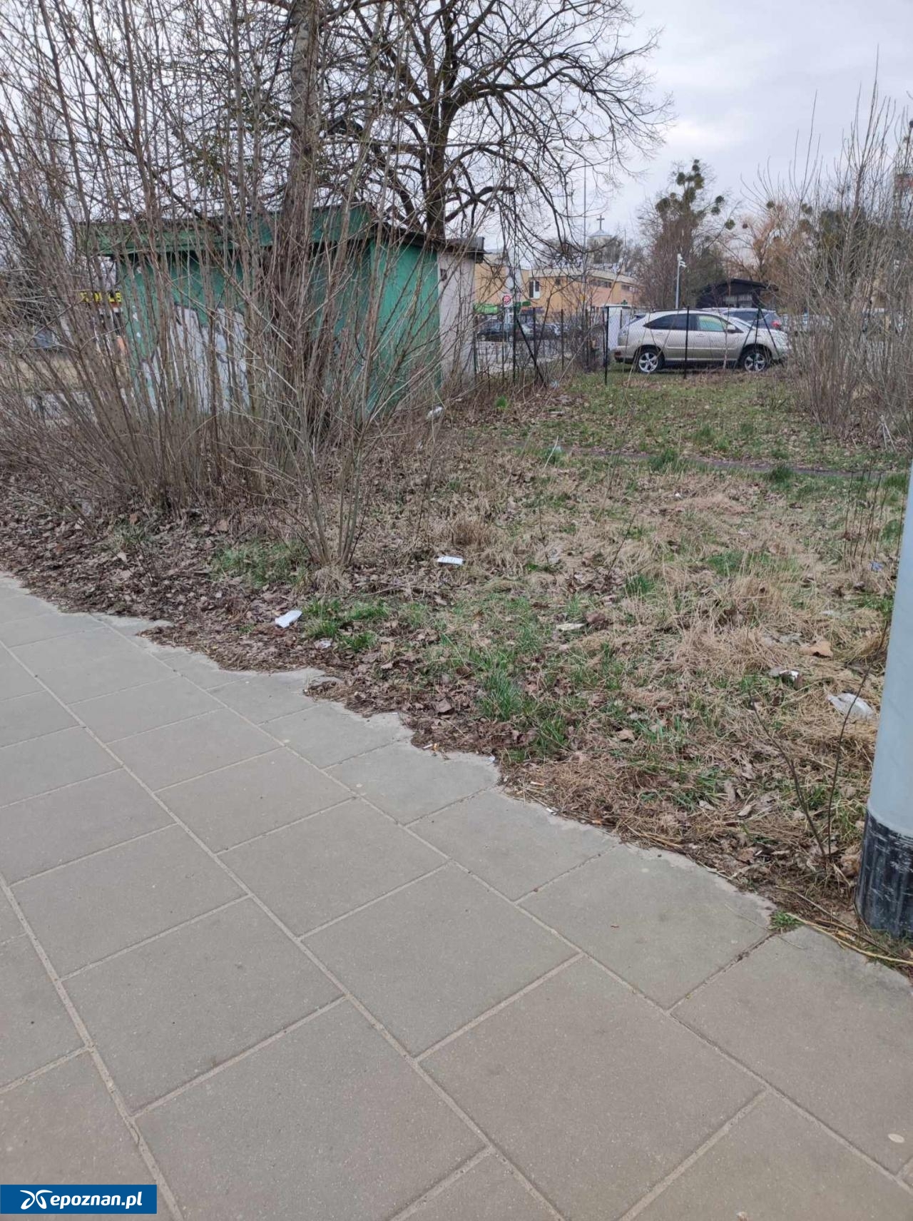 fot. Czytelnik