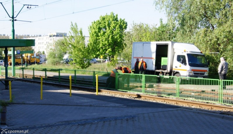 fot. Włodzimierz  Hoppel
