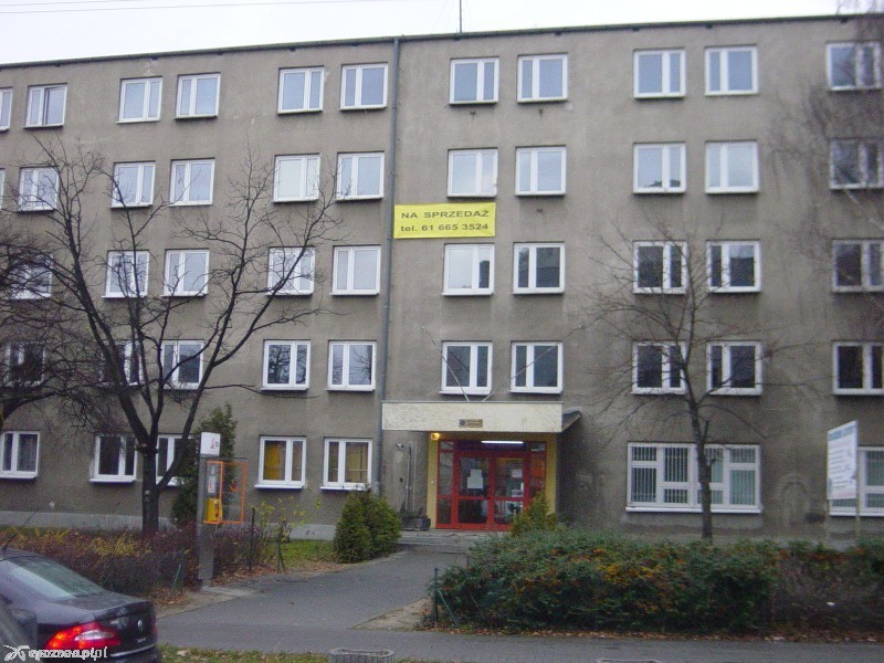 Zdjęcie z 2011 roku | fot. Nishio Poznań