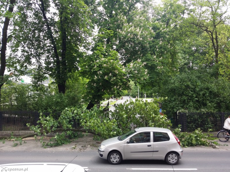fot. Piotr Błaszak