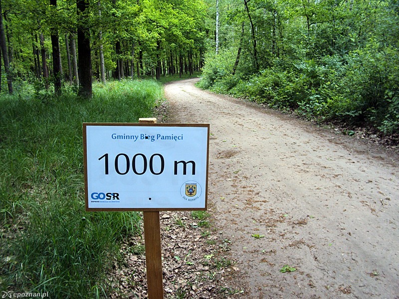 fot. Tomasz Woźniak