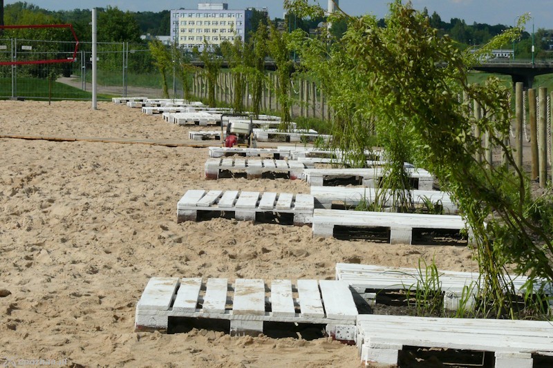 fot. Elżbieta Skowron