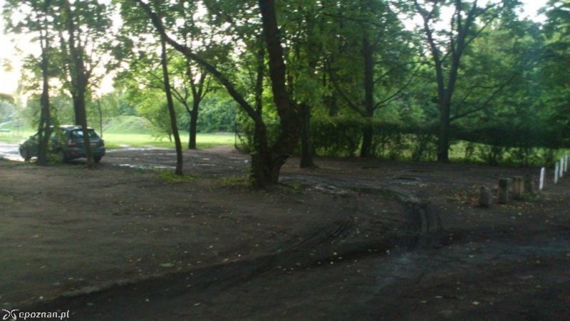 fot. czytelniczka