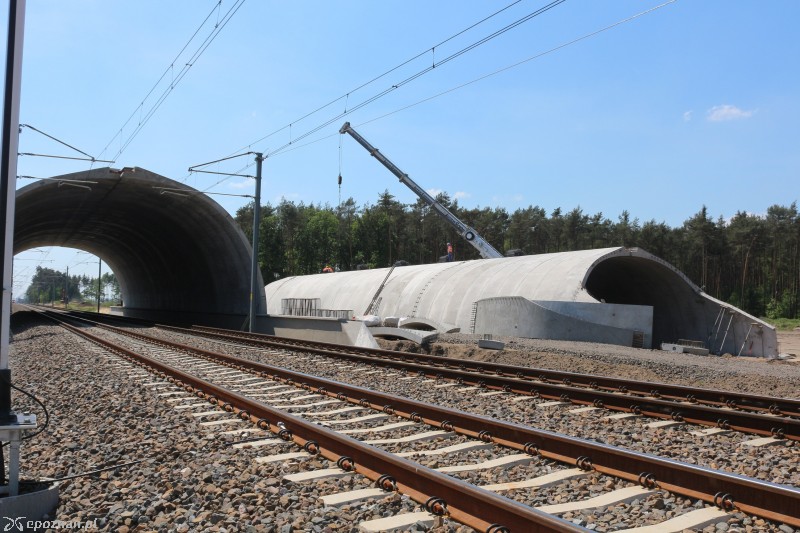fot. PKP Polskie Linie Kolejowe S.A.