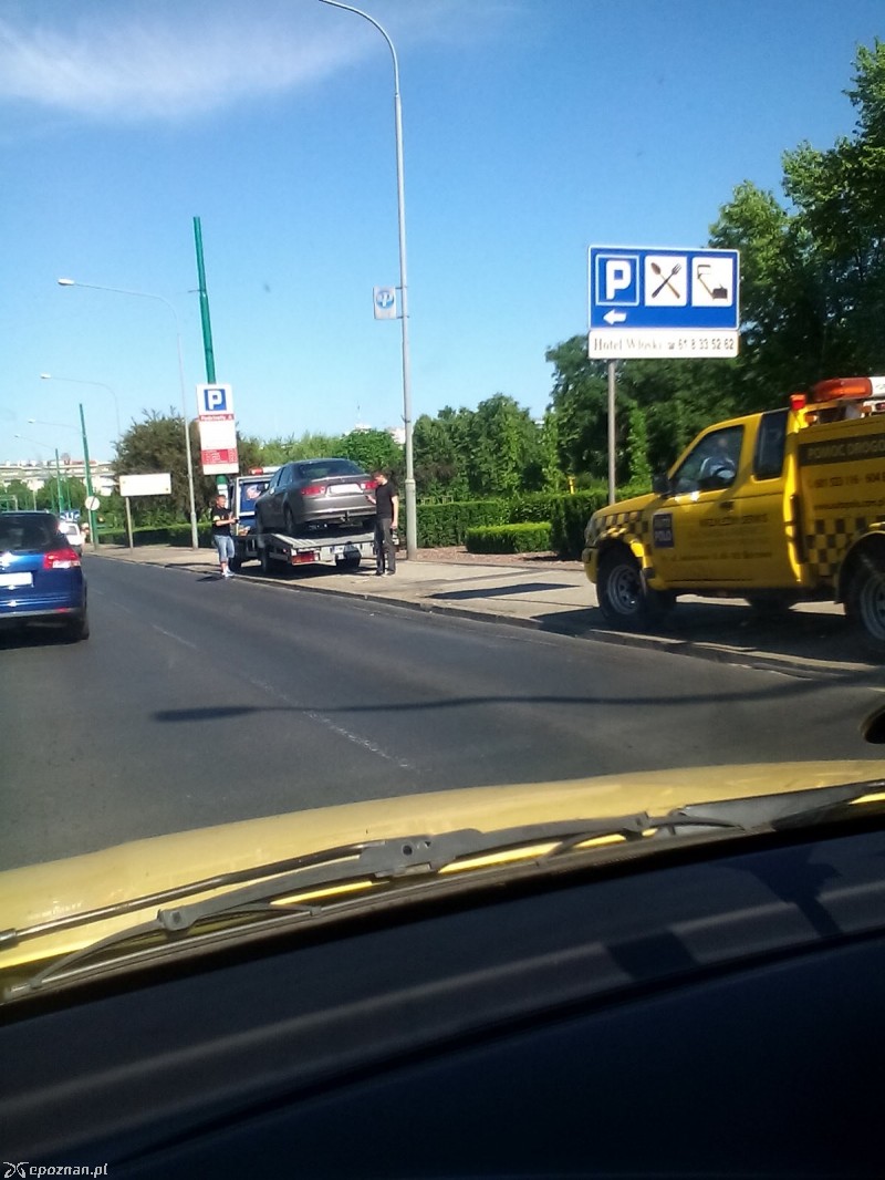 fot. Adalos