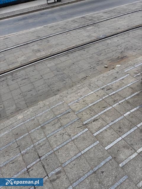 fot. Czytelnik epoznan.pl