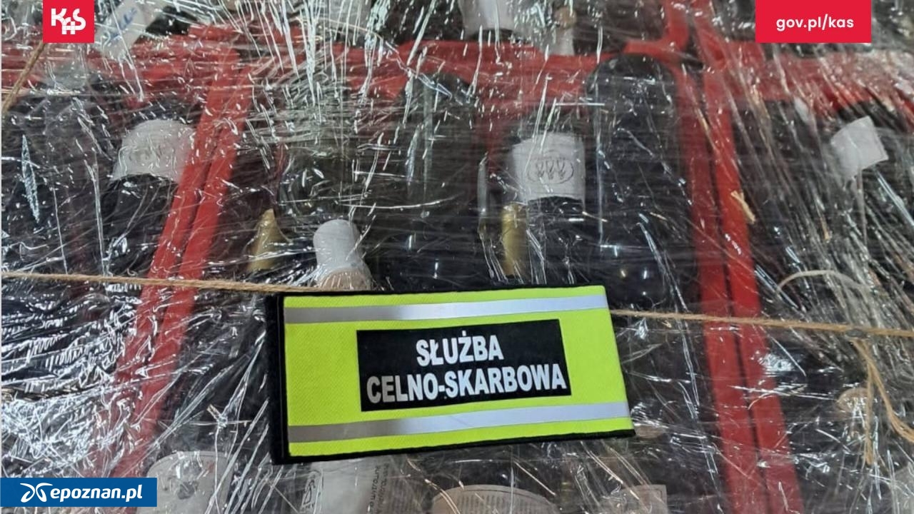fot. IAS Poznań