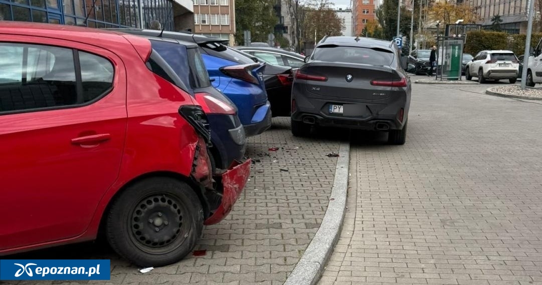 fot. bez anabolików nie ma wyników