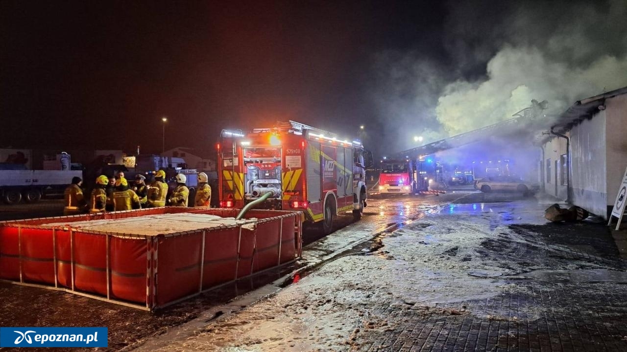 fot. asp. Krzysztof Orzechowski, mł. asp. Arkadiusz Skrzypczak / KW PSP Poznań