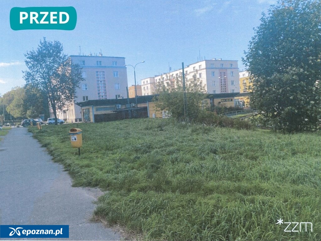 fot. ZZM Poznań