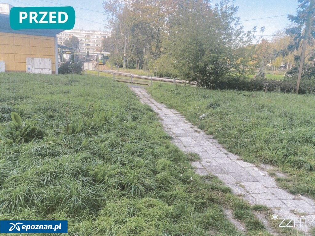 fot. ZZM Poznań