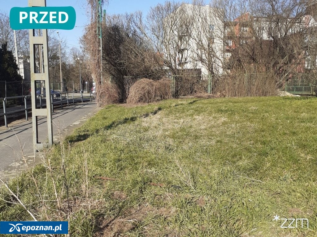 fot. ZZM Poznań