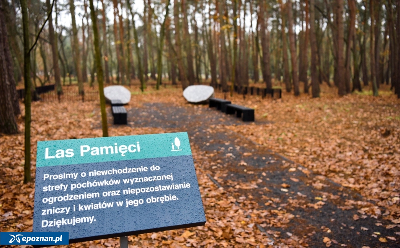 fot. UM Poznań