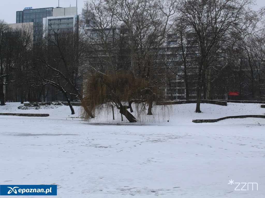 fot. ZZM Poznań
