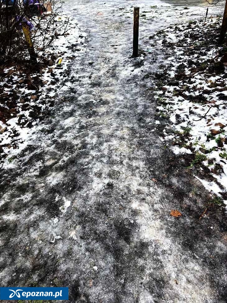 fot. Czytelnik
