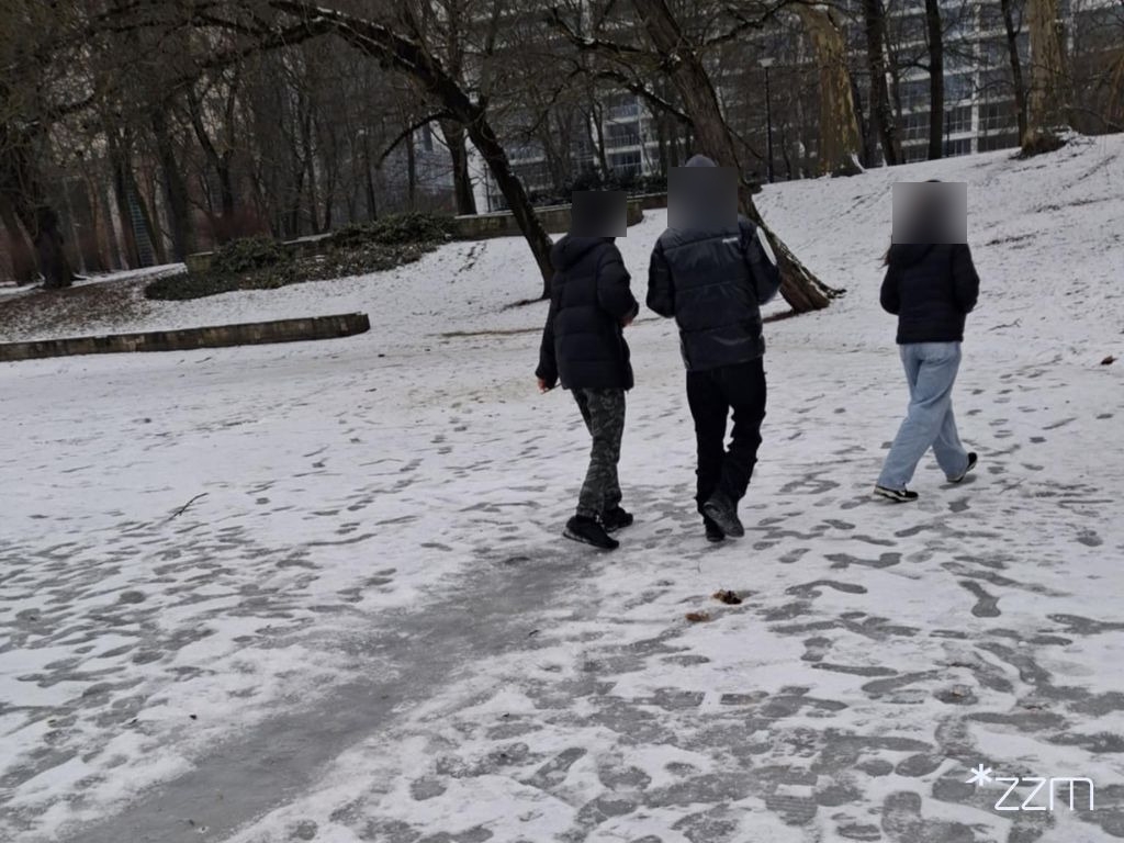 fot. ZZM Poznań