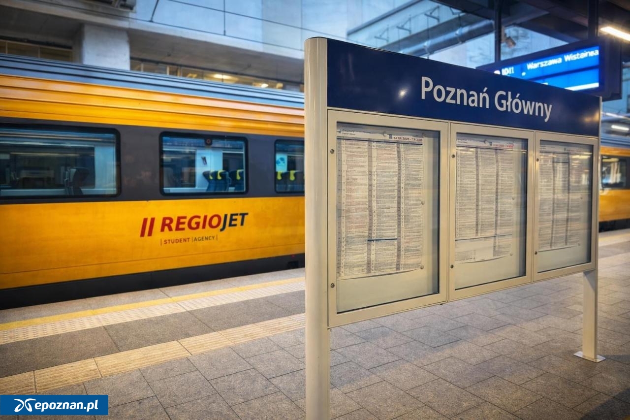 fot. Materiały prasowe