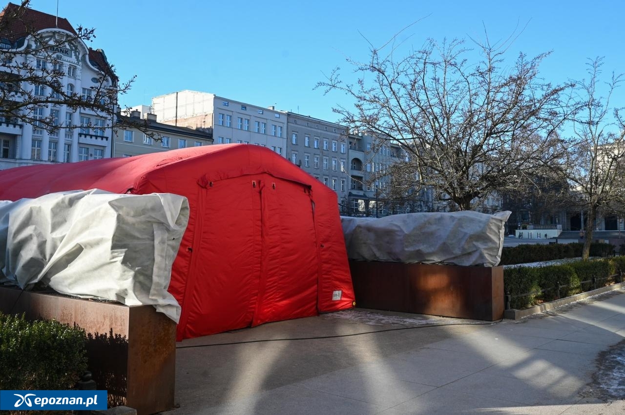 fot. UM Poznań