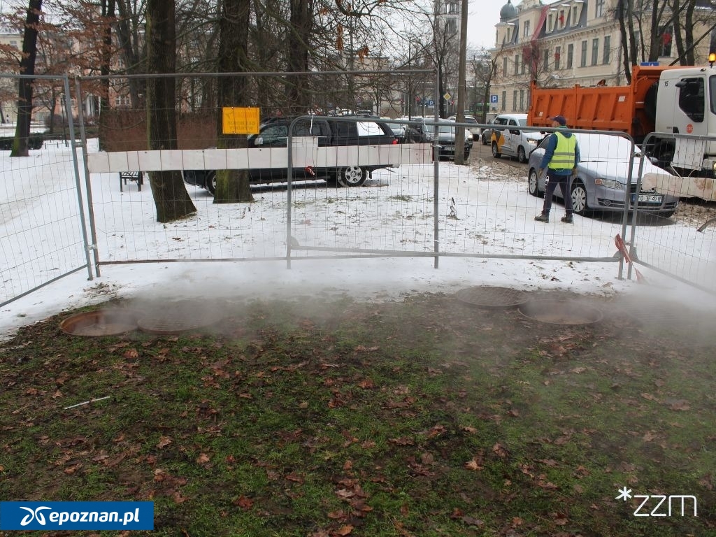 fot. ZZM Poznań