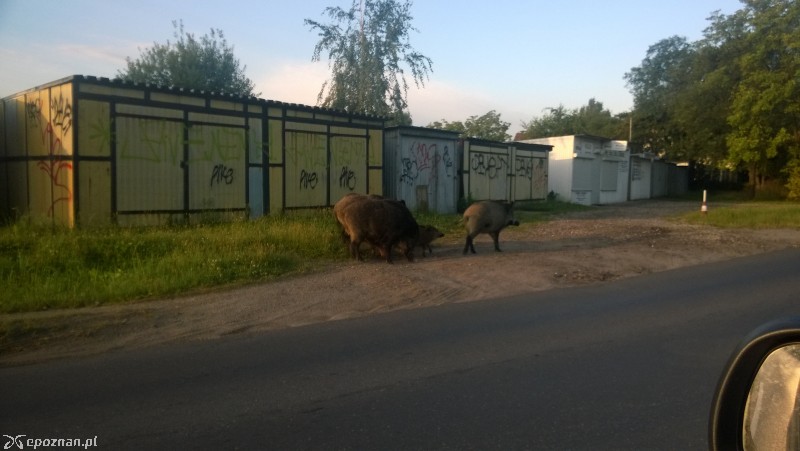 Ul. Jaroczyńskiego we wtorek rano | fot. Łukasz C.