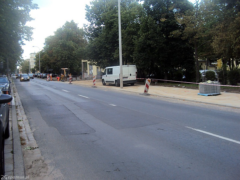 fot. Tomasz Woźniak