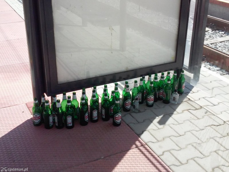 fot. czytelnik
