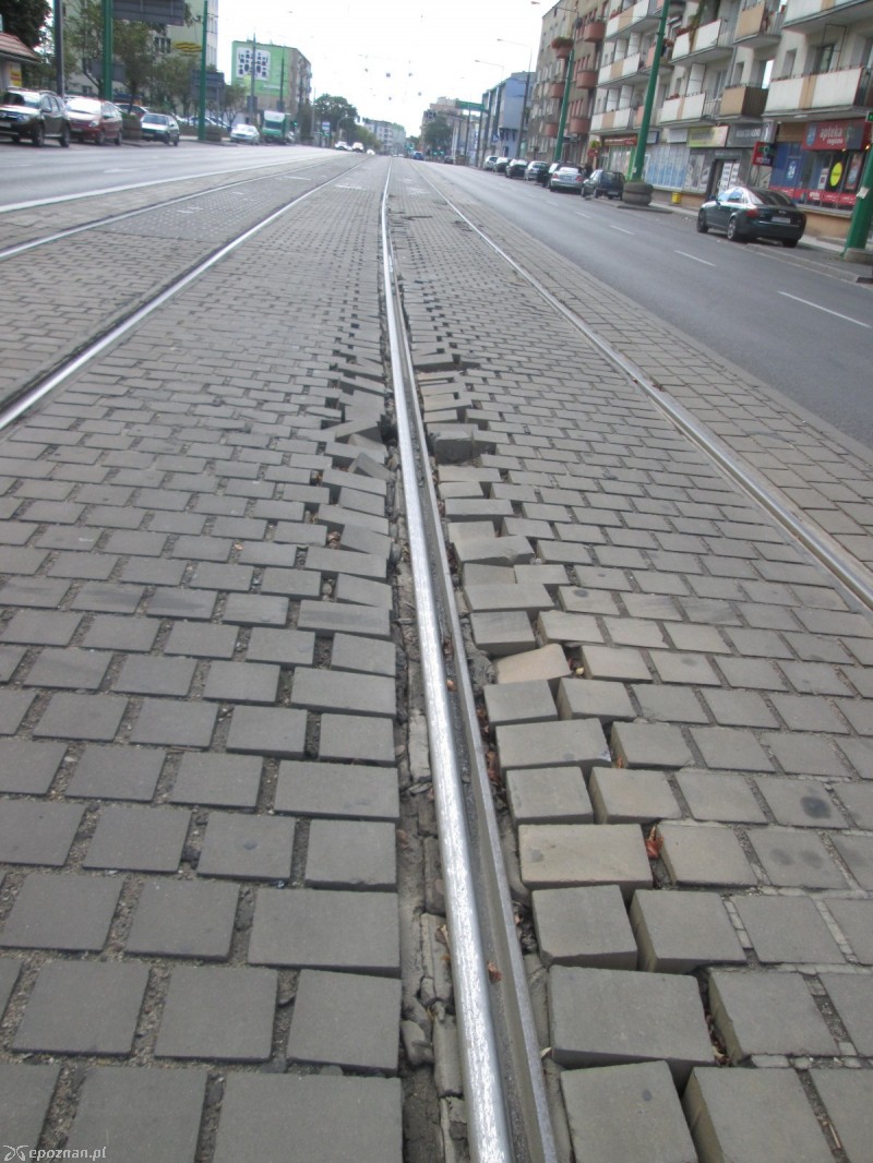 fot. Nishio Poznań