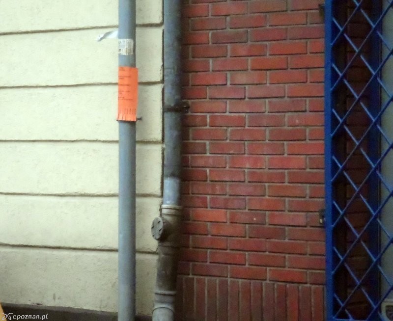 fot. Straż miejska