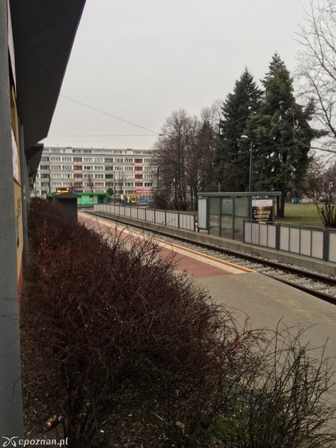 Pętla Ogrody | fot. Mateusz