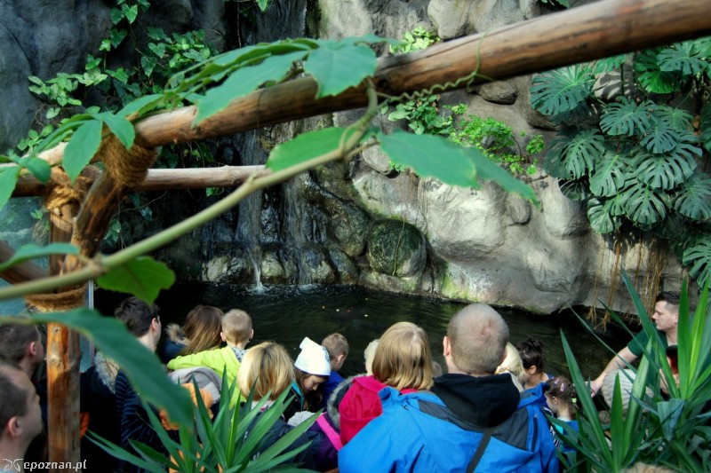 fot. ZOO Poznań