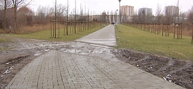 Tak w ubiegłym roku wyglądała luka