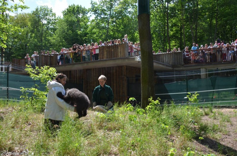 fot. ZOO/Facebook