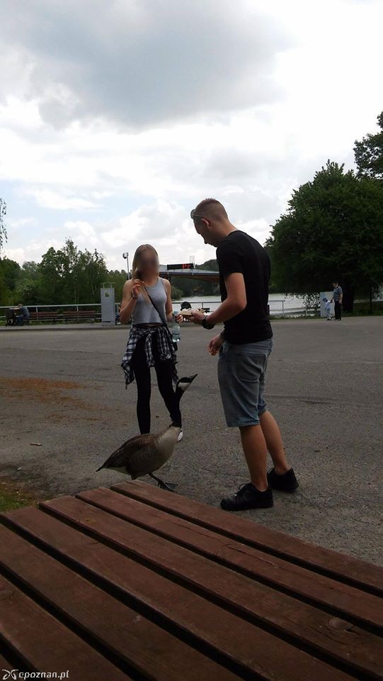 fot. ZOO Poznań