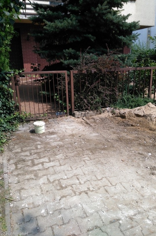 fot. Straż miejska