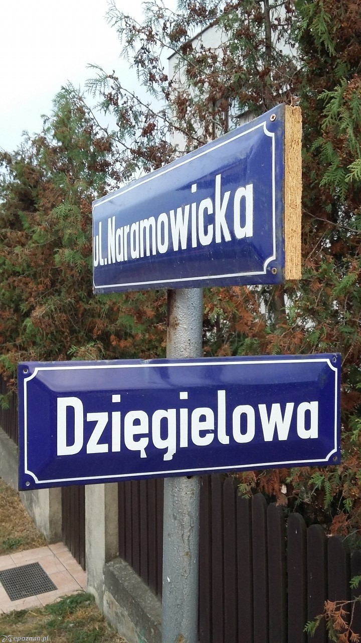 fot. Patryk Marciniak
