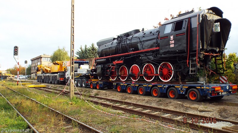 fot. Piotr Skowyra