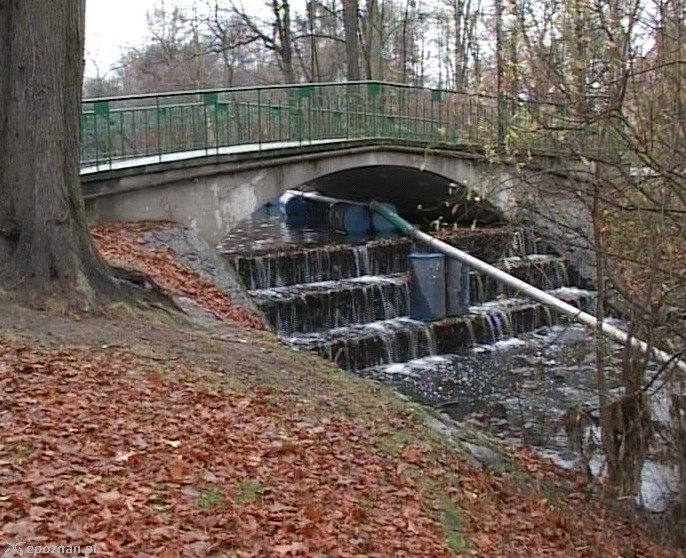 Tak czyszczono staw 9 lat temu | fot. archiwum
