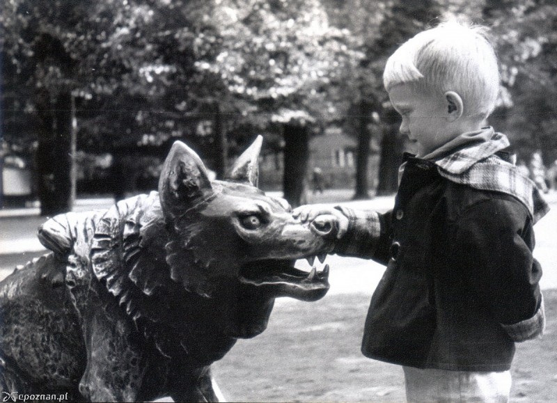 fot. archiwum ZOO