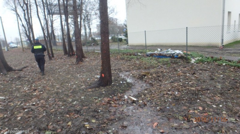 fot. Straż miejska