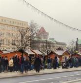 fot. Włodzimierz Hoppel