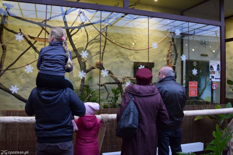 fot. Stare ZOO Poznań